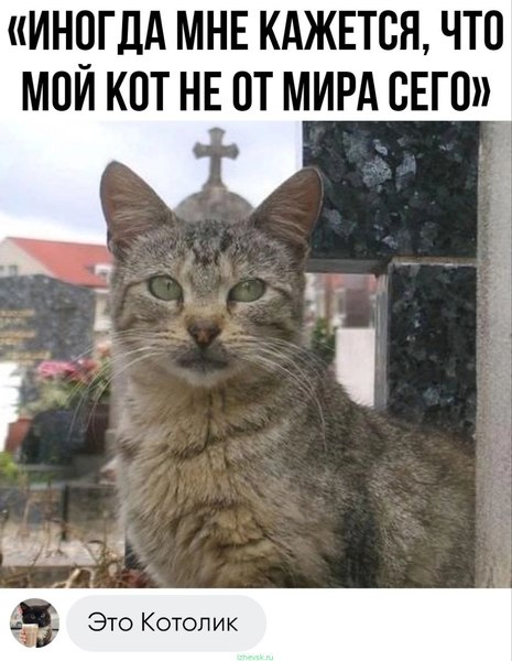 Игра слов — это словесный вираж в смешных каламбурах