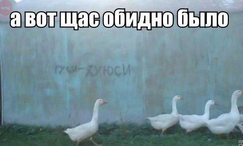 Давно не было....