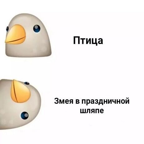 Адам