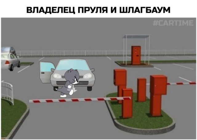 Веселое настроение в картинках 01.02.26