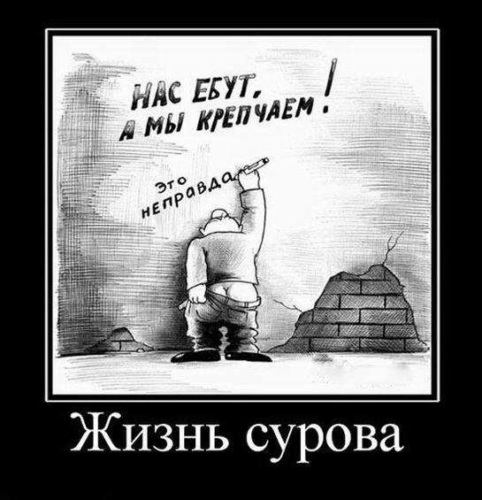 Москвич о своих льготах