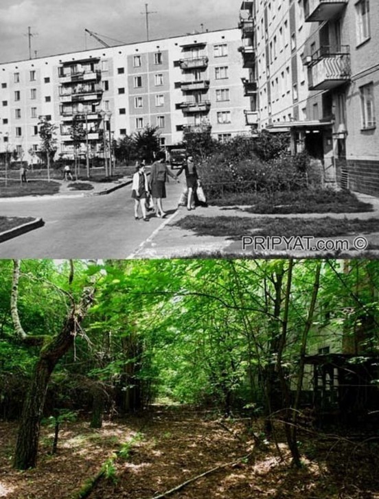 Фотографии из прошлого нашей страны – 139