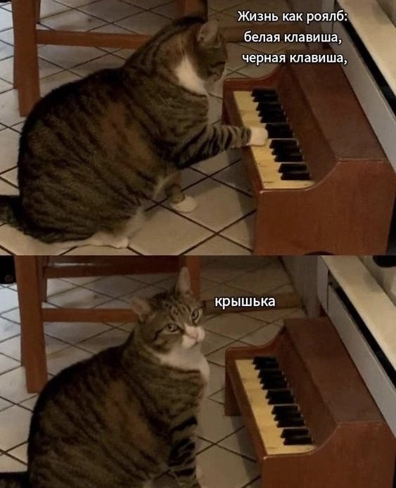 Субботние картинки