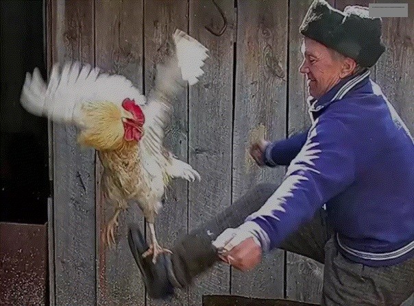 Наклейка