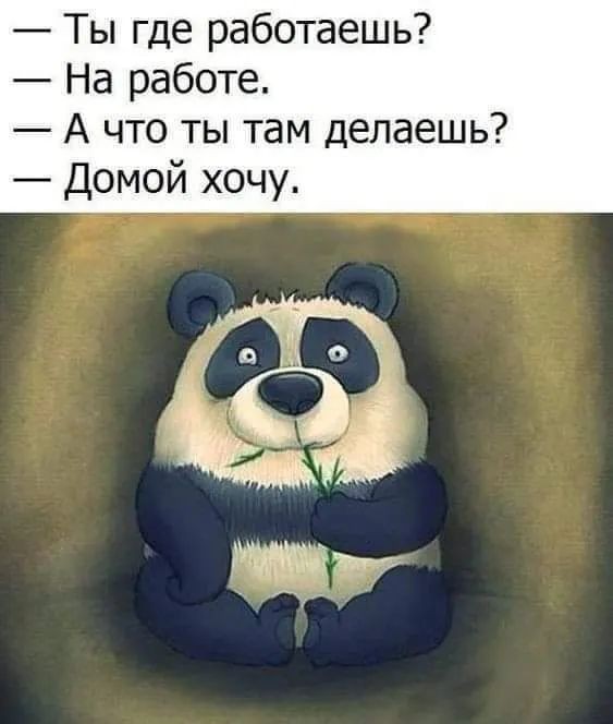Так себе картинки 19.06.26