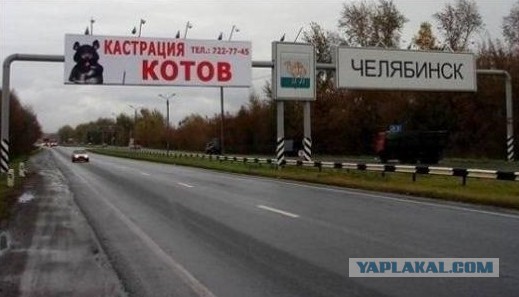 Подборочка маразмиков