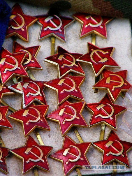 Удельный рынок в Санкт- Петербурге