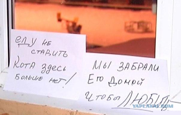 Картинки, объявления - 2