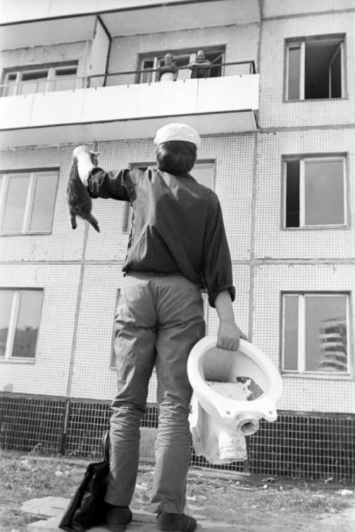 Польза от котов