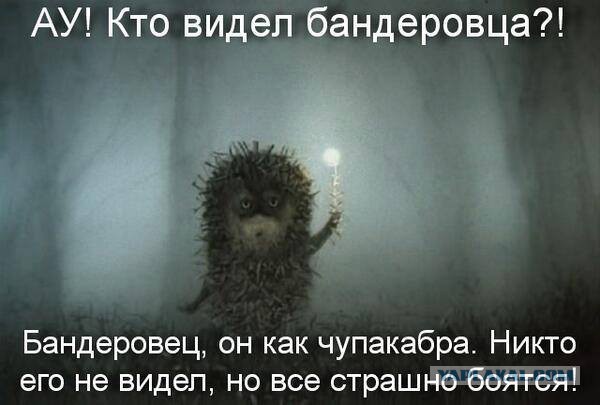 Демотиваторы и просто веселые картинки