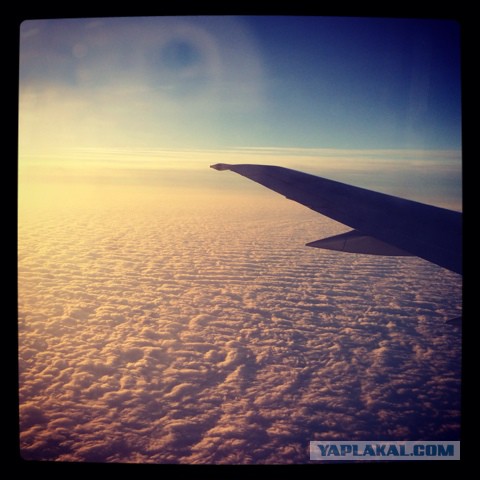 27 причин взять место у окна