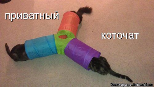 Капля позитива