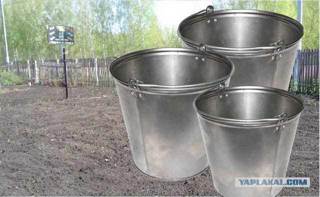 Рекордный урожай картофеля 2014