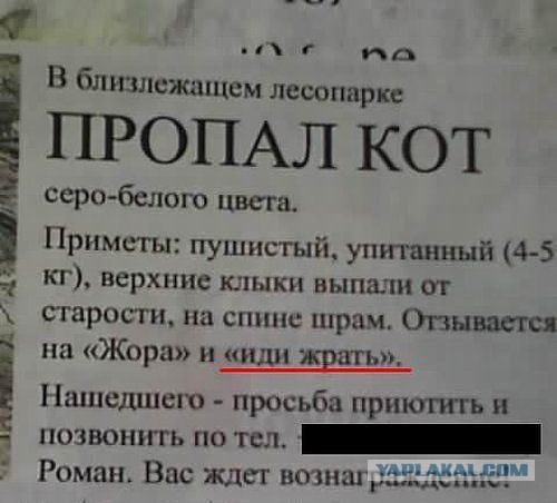 Весёлое из сети