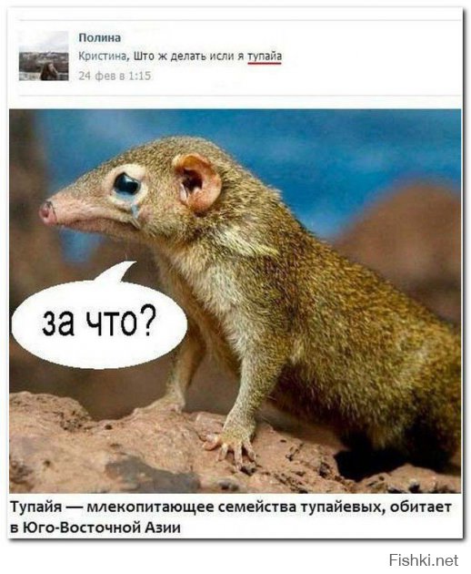 Смешные комментарии из социальных сетей