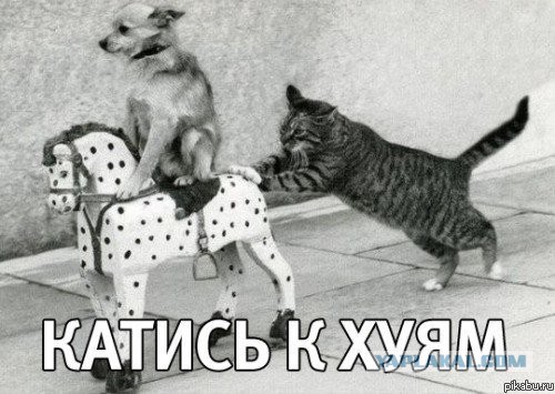 Иностранец о российских дорогах