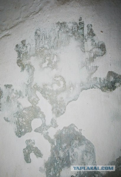 Я знаю как выглядит Сальвадор Дали