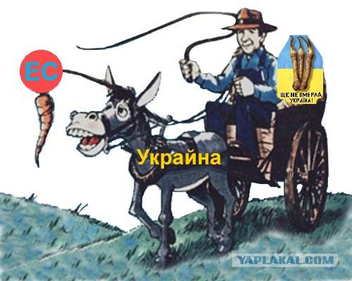 «Правый сектор» захватили власть во Львове