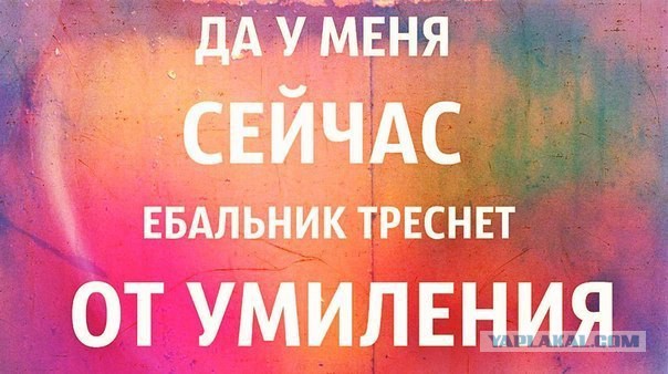 Кто уснул тут дружно в ряд?