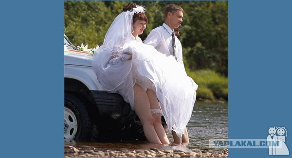 Свадьба это весело - 2. Смотрим картинки.