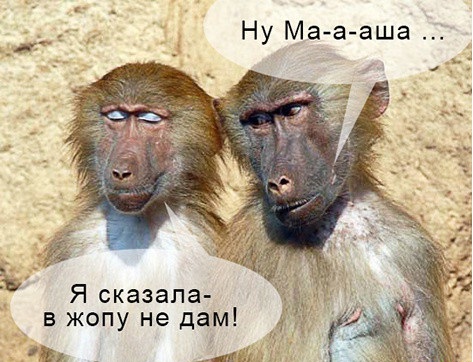 Картинки разные из сети