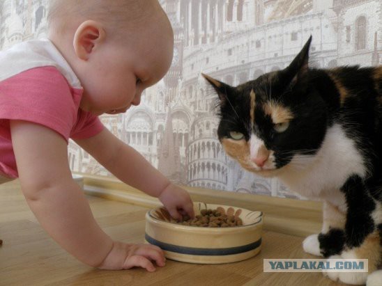 Фотоприколы