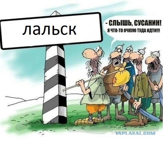 Лёха, вставай!