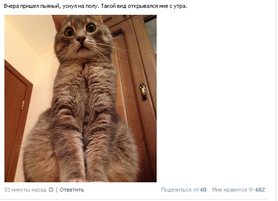 КотоВторник 26.04.2016