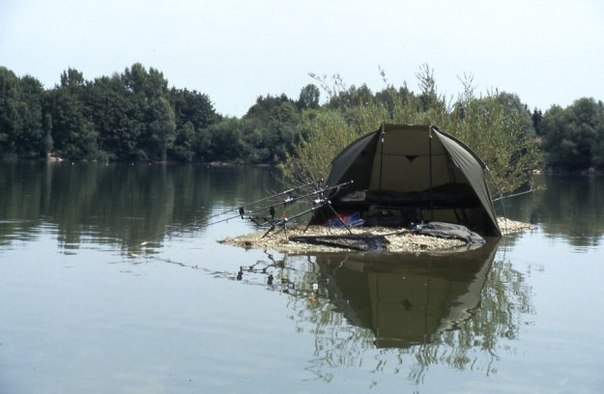 Подборка красивых и прикольных фото