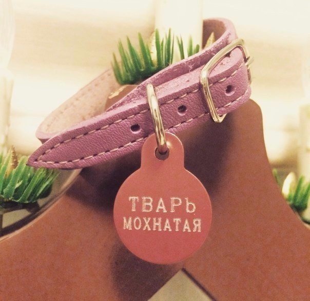 Мохнатые беспредельщики