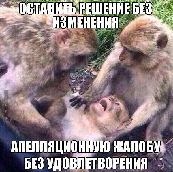 Мировой судья в Сочи разрешил застройщику дома пользоваться балконом проданной им квартиры