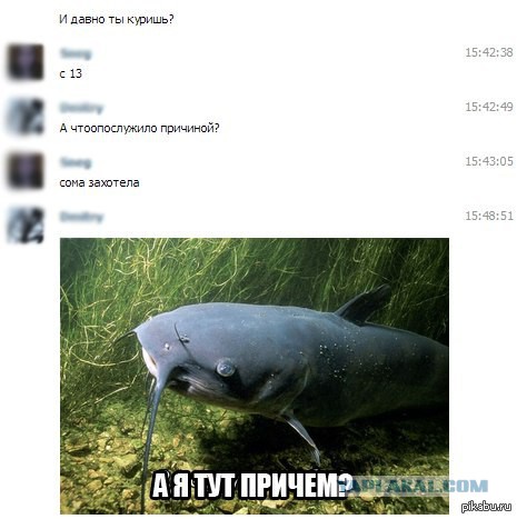 Наростил к избушке на курьих ножках кухню