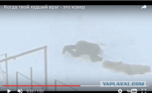 Выбил ковер