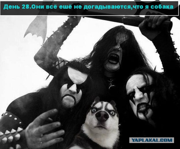 Да они же обдолбанные все!