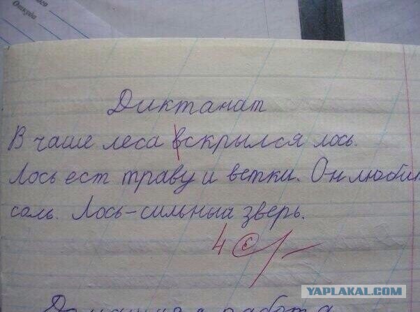 Юмор не для всех