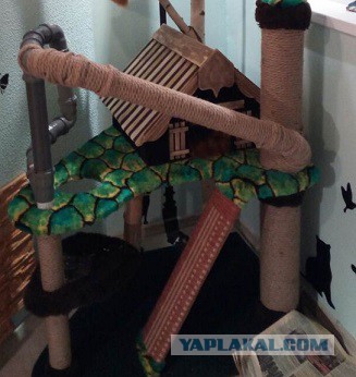 Коттедж своими руками, или про довольную котейку.