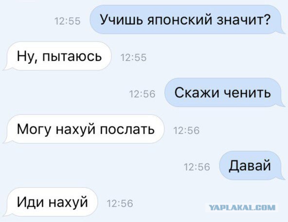 Смешные комментарии 19.02.2017