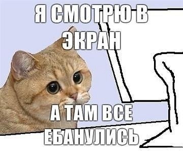 Аллигатор отомстил за изнасилование более мелкого сородича, поужинав извращенцем