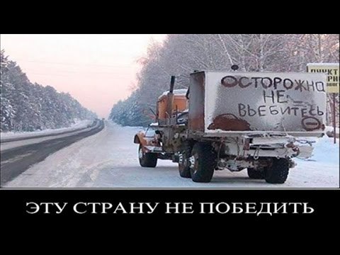 Подборка безудержного веселья