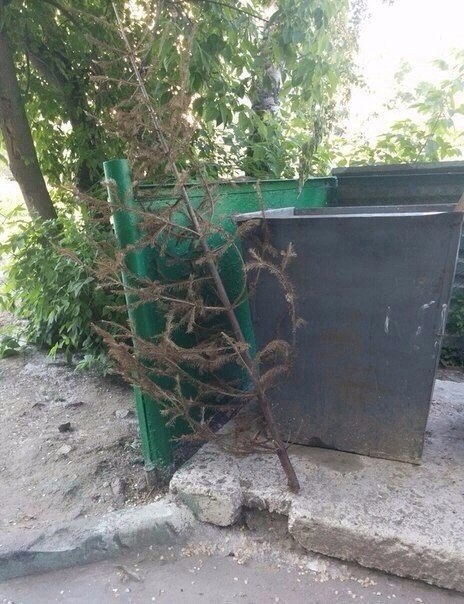 Подборка интересных и веселых картинок