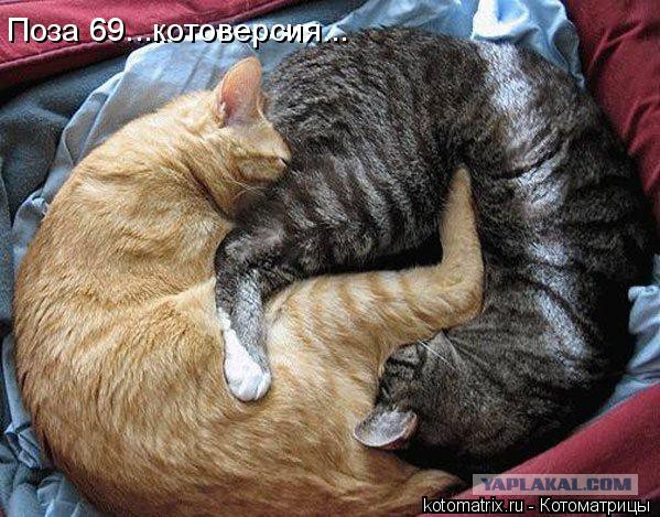 Поиграем в циферки?