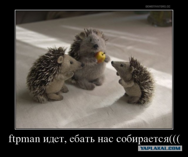 Беседка ФиС ЯПа