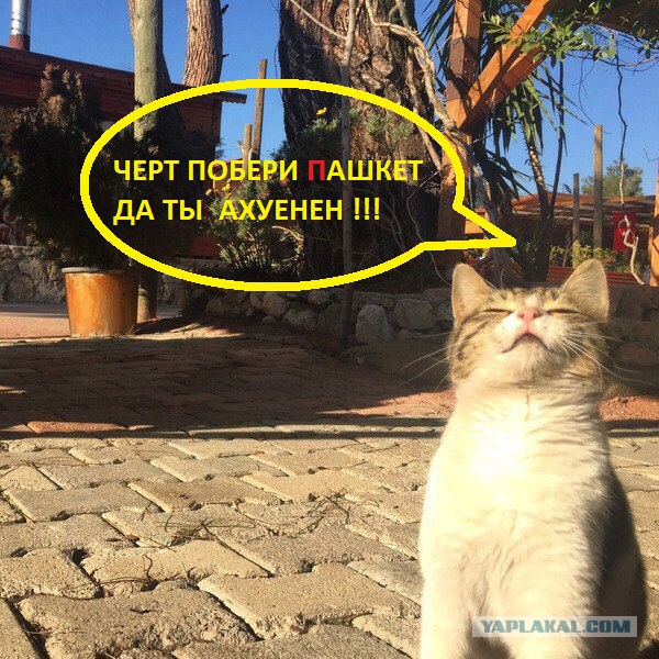 Здравствуйте, друзья! Я снова с Вами! С уважением, Пашкетт