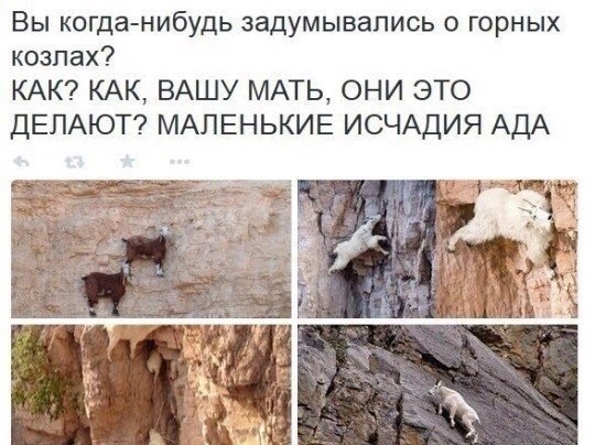 Ударная доза тупежа и деградации