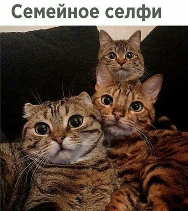 Подборка интересных и веселых картинок