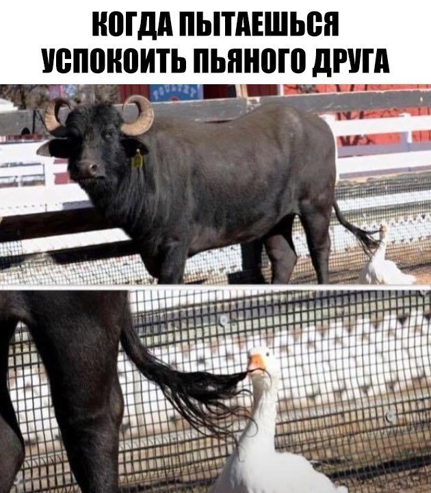 Немного картинок в этот четверг