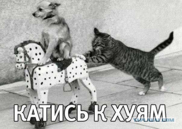 Понравились кубы