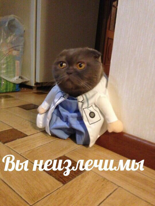 Картинки юморные и тексты