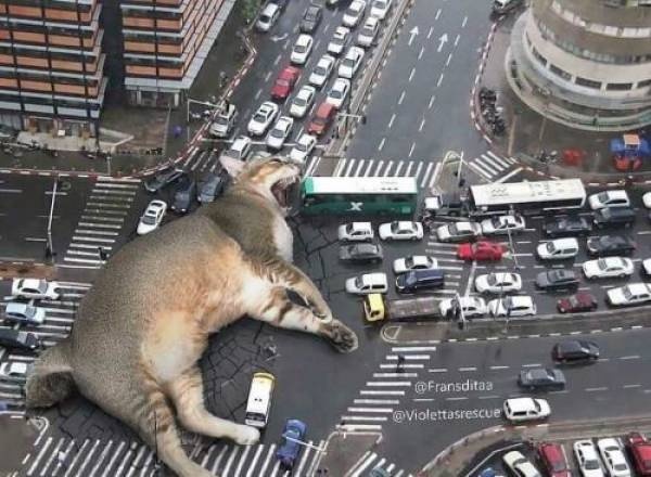 Нестандартный юмор