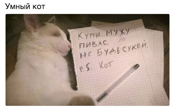 Юмор с ароматом понедельника